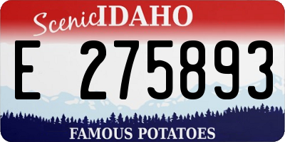 ID license plate E275893
