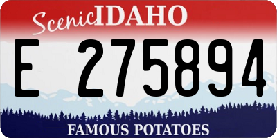 ID license plate E275894