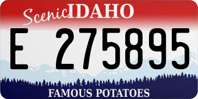 ID license plate E275895