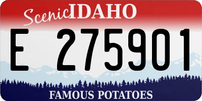 ID license plate E275901