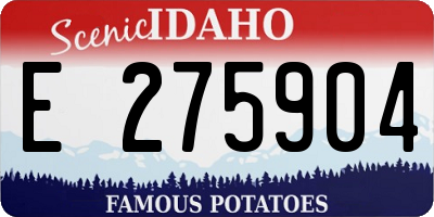 ID license plate E275904