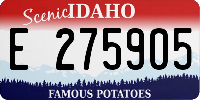 ID license plate E275905