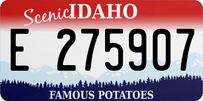ID license plate E275907