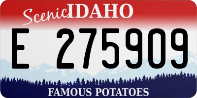 ID license plate E275909