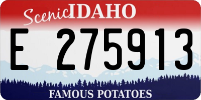 ID license plate E275913