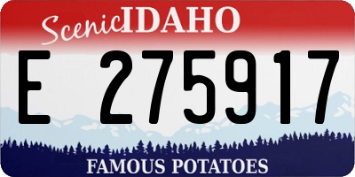 ID license plate E275917