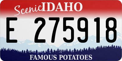 ID license plate E275918