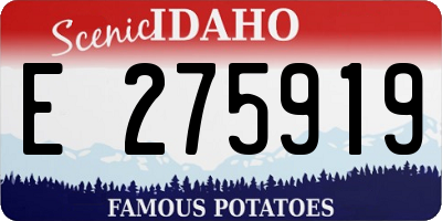 ID license plate E275919