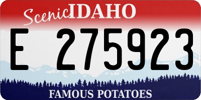 ID license plate E275923