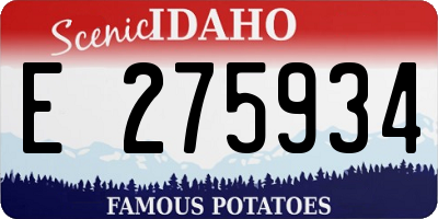 ID license plate E275934