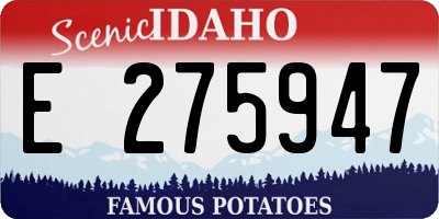ID license plate E275947