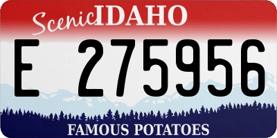 ID license plate E275956