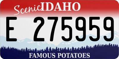 ID license plate E275959