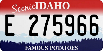 ID license plate E275966