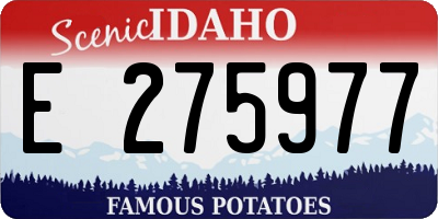 ID license plate E275977