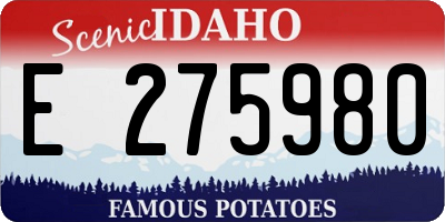 ID license plate E275980
