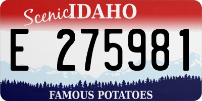ID license plate E275981