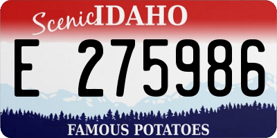 ID license plate E275986