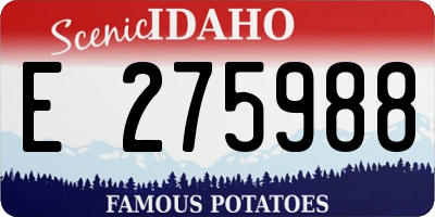 ID license plate E275988