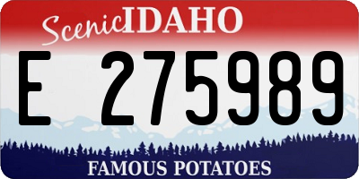 ID license plate E275989
