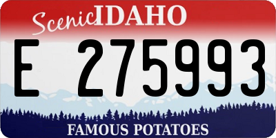 ID license plate E275993