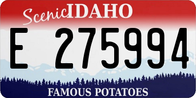 ID license plate E275994