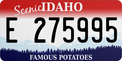 ID license plate E275995