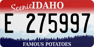 ID license plate E275997