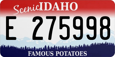 ID license plate E275998