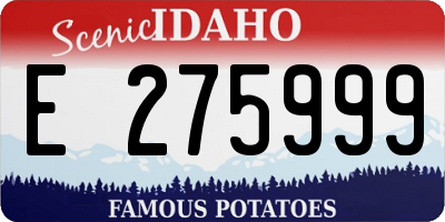 ID license plate E275999