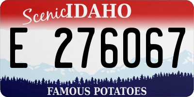 ID license plate E276067
