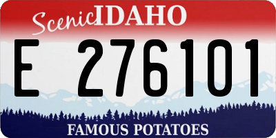 ID license plate E276101