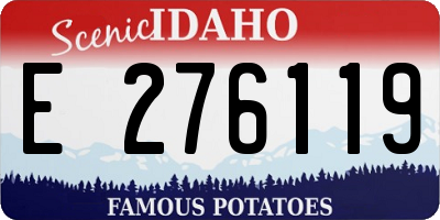 ID license plate E276119