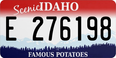 ID license plate E276198