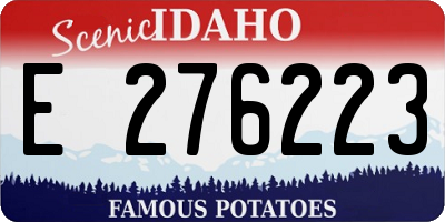 ID license plate E276223