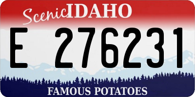 ID license plate E276231