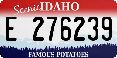 ID license plate E276239
