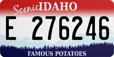 ID license plate E276246