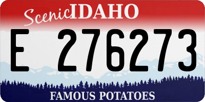 ID license plate E276273