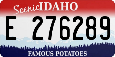 ID license plate E276289