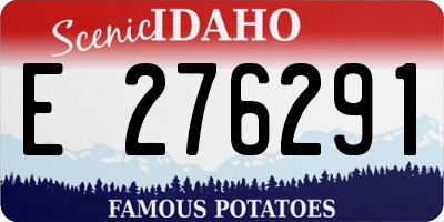 ID license plate E276291