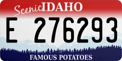 ID license plate E276293