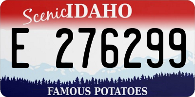 ID license plate E276299