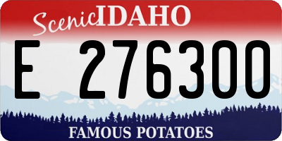 ID license plate E276300