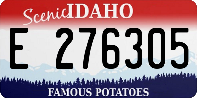 ID license plate E276305