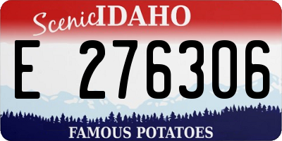 ID license plate E276306