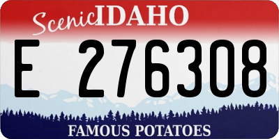 ID license plate E276308