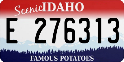 ID license plate E276313