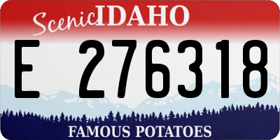 ID license plate E276318