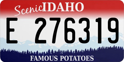 ID license plate E276319